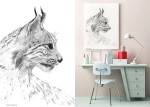 Grafika Ryś - Lynx Black & White