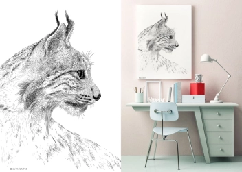 Grafika Ryś - Lynx Black & White
