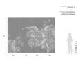 MURAL ONWALL VINTAGE APPLE WIDE VIEW 07.jpg