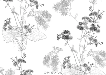 Tapeta Flowers Black