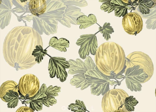 Agrest Color ONWALL pattern.jpg