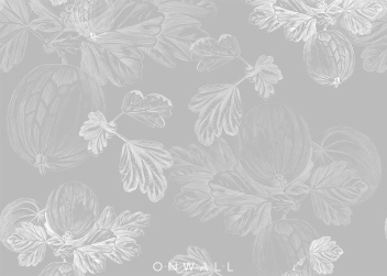 Tapeta Agrest Gooseberry Grey