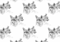 ONWALL-KOLEKCJA-SKETCH-TAPETA-FOX-LYNX-LUKASZ-BOGDANOWICZ-PODGLAD.jpg