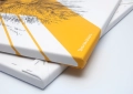 ONWALL-KOLEKCJA-SKETCH-OBRAZ-FOX-COLOR-GOLD-LUKASZ-BOGDANOWICZ-03-1023.jpg