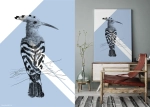 Grafika Dudek Niebieski Hoope Color Sky Blue