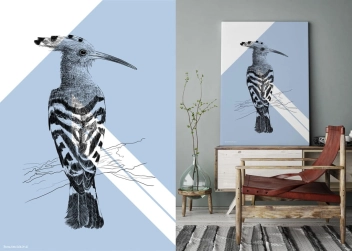 Grafika Dudek Niebieski Hoope Color Sky Blue