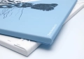 ONWALL-KOLEKCJA-SKETCH-OBRAZ-HOOPE-COLOR-SKY-BLUE-LUKASZ-BOGDANOWICZ-03-1023.jpg