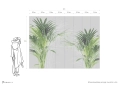 ONWALL-KOLEKCJA-SKETCH-TAPETA-MURAL-PLAM-LUKASZ-BOGDANOWICZ-WYMIARY-4x3.jpg