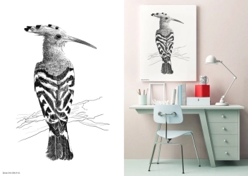 Grafika Dudek - Hoope Black & White