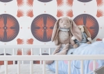 Tapeta Dudek Dla Dzieci Hoope 01 Kids