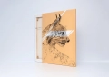 ONWALL-KOLEKCJA-SKETCH-OBRAZ-LYNX-COLOR-DESERT-STORM-LUKASZ-BOGDANOWICZ-02-1023.jpg