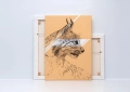 ONWALL-KOLEKCJA-SKETCH-OBRAZ-LYNX-COLOR-DESERT-STORM-LUKASZ-BOGDANOWICZ-00-1023.jpg