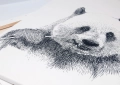 ONWALL-KOLEKCJA-SKETCH-OBRAZ-PANDA-BLACK&WHITE-LUKASZ-BOGDANOWICZ-01-1023.jpg