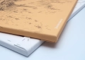 ONWALL-KOLEKCJA-SKETCH-OBRAZ-LYNX-COLOR-DESERT-STORM-LUKASZ-BOGDANOWICZ-03-1023.jpg